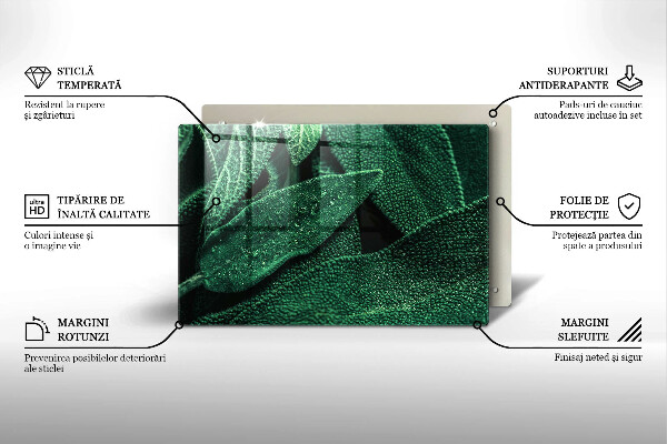 Cobertura placa vitrocerámica As folhas da planta