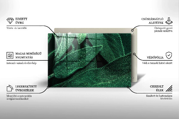 Cobertura placa vitrocerámica As folhas da planta