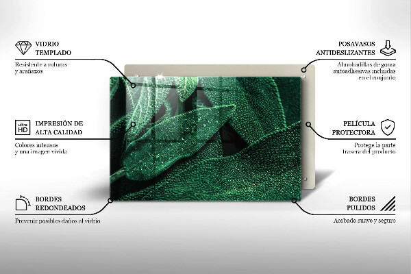 Cobertura placa vitrocerámica As folhas da planta