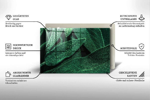 Cobertura placa vitrocerámica As folhas da planta