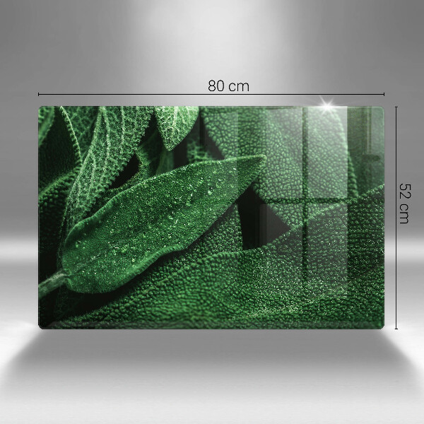 Cobertura placa vitrocerámica As folhas da planta