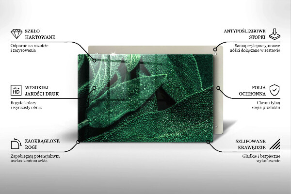 Cobertura placa vitrocerámica As folhas da planta