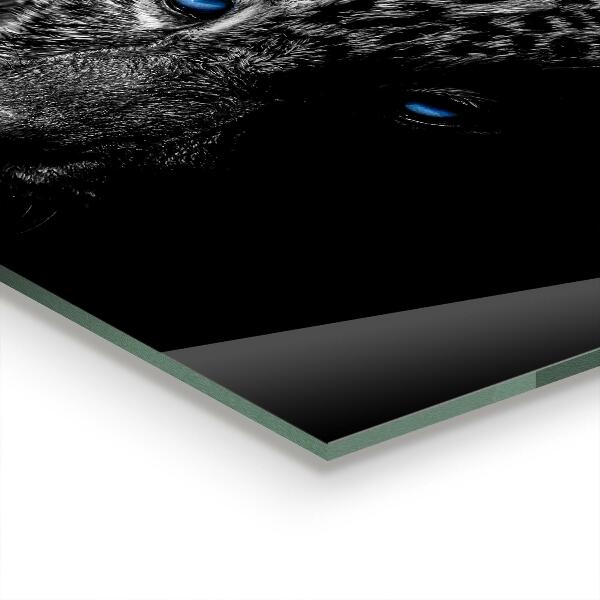 Backsplash cozinha Gato selvagem pantera escura