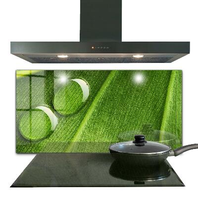 Painel para cozinha Gota de orvalho em uma folha