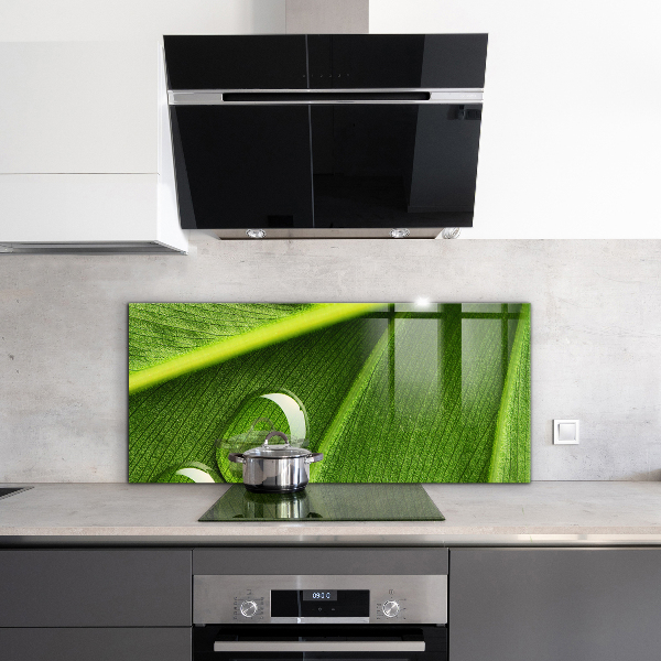 Painel para cozinha Gota de orvalho em uma folha