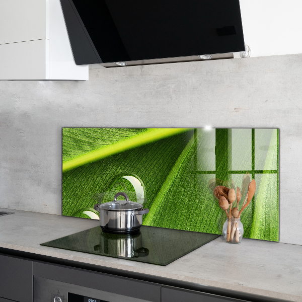 Painel para cozinha Gota de orvalho em uma folha