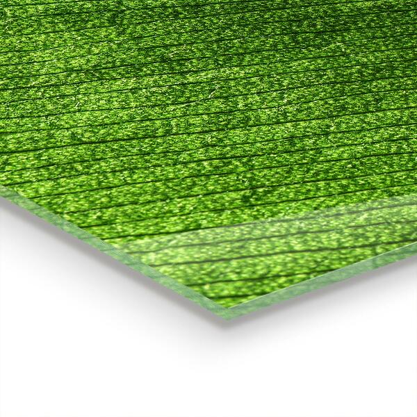 Painel para cozinha Gota de orvalho em uma folha