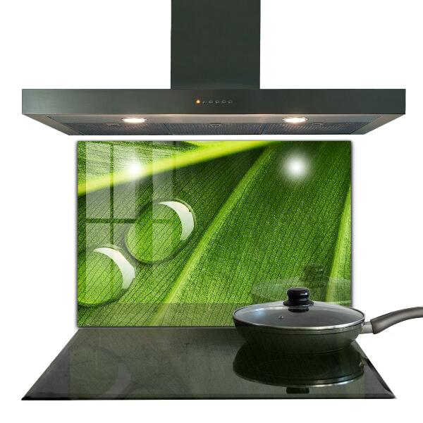 Painel para cozinha Gota de orvalho em uma folha