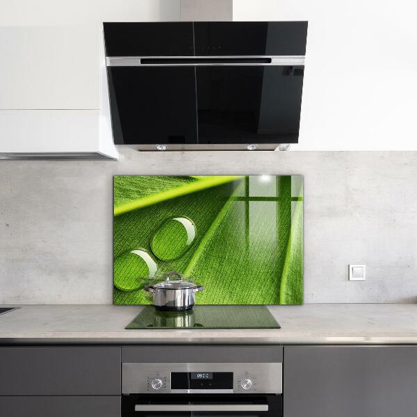 Painel para cozinha Gota de orvalho em uma folha