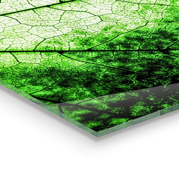 Painel cozinha Resumo de Rosa Vermelha