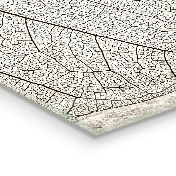 Backsplash cozinha Folha com gotas de orvalho da manhã