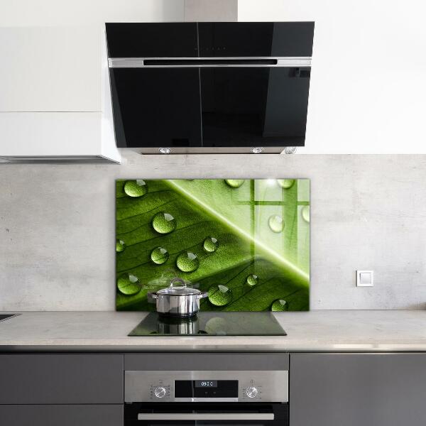 Painel cozinha Planta dente-de-leão no vento