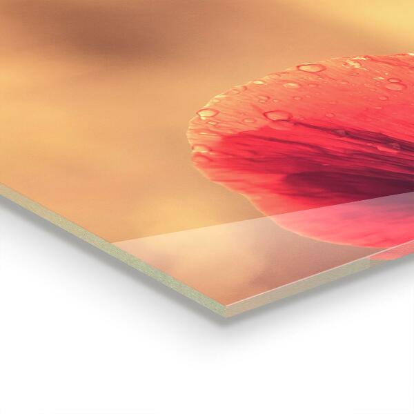 Painel para cozinha Magnólia florescendo