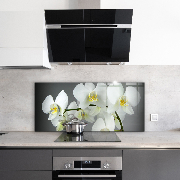 Painel cozinha Rosa Selvagem no Parque