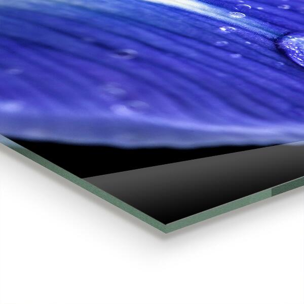 Backsplash cozinha Detalhes da folha verde