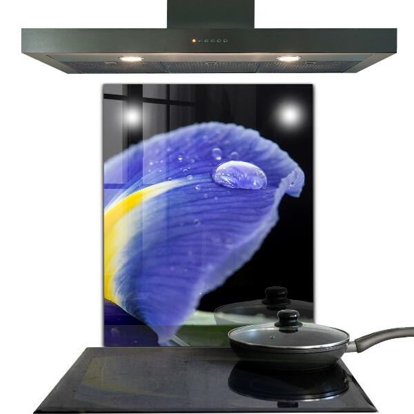 Backsplash cozinha Detalhes da folha verde