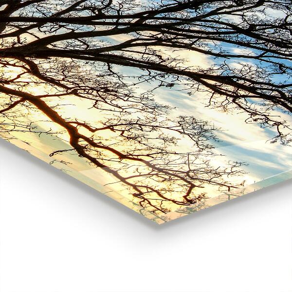 Backsplash cozinha Paisagem do Prado pela Manhã