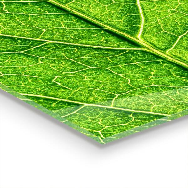 Backsplash cozinha Flor de Laranjeira