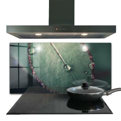 Painel para cozinha Detalhes da Papoula Vermelha