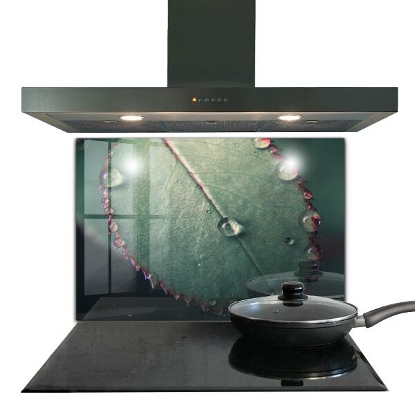 Painel para cozinha Detalhes da Papoula Vermelha