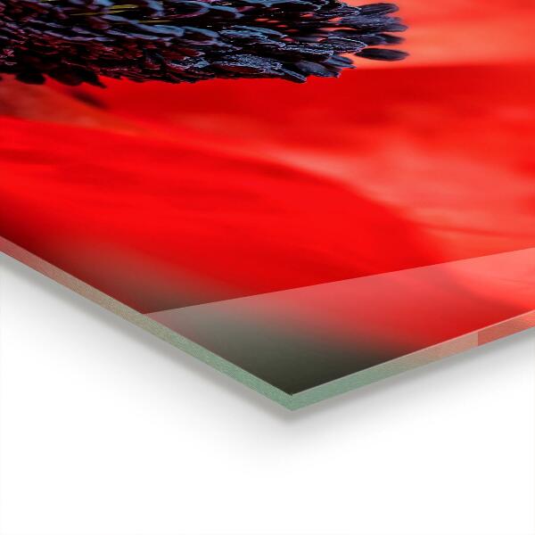 Backsplash cozinha Detalhes da Flor Roxa