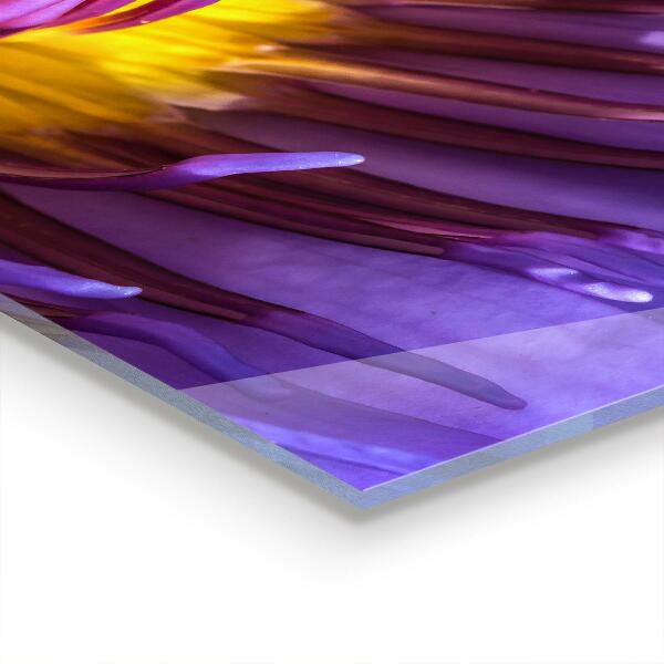 Painel cozinha Orvalho nas folhas verdes