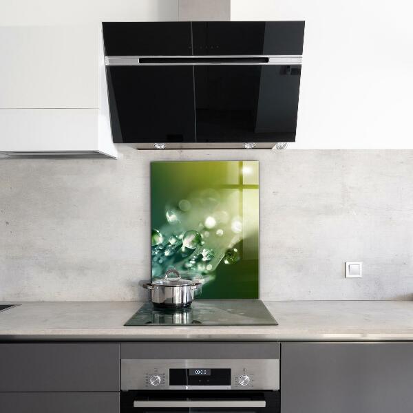 Painel para cozinha Folha verde depois da chuva