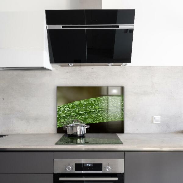 Backsplash cozinha Gotas de orvalho na grama