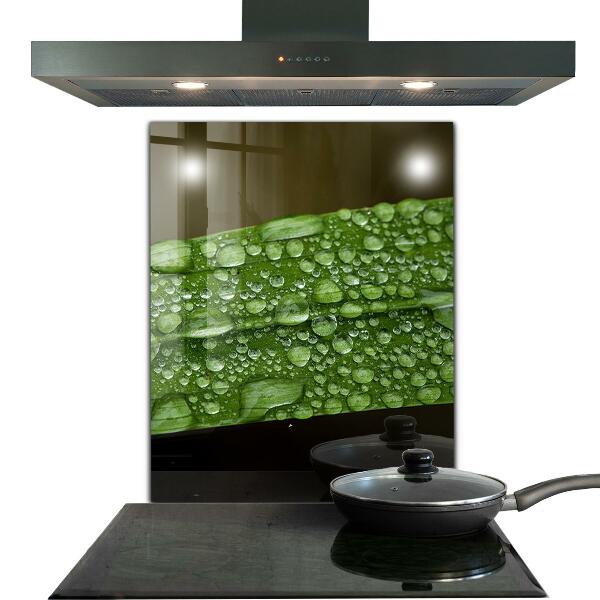 Backsplash cozinha Gotas de orvalho na grama
