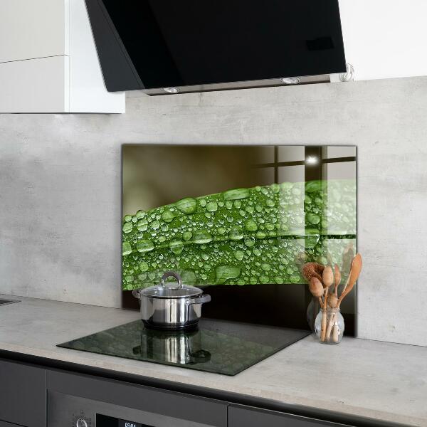 Backsplash cozinha Gotas de orvalho na grama