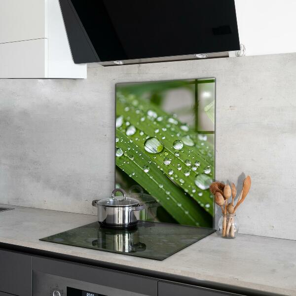 Painel cozinha Detalhes da Flor Rosa Natureza
