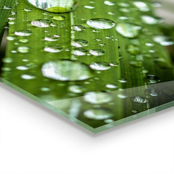Painel cozinha Detalhes da Flor Rosa Natureza