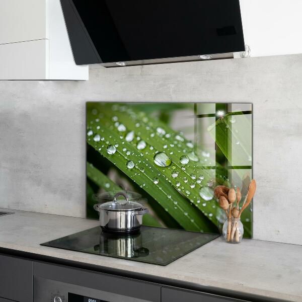 Painel cozinha Detalhes da Flor Rosa Natureza
