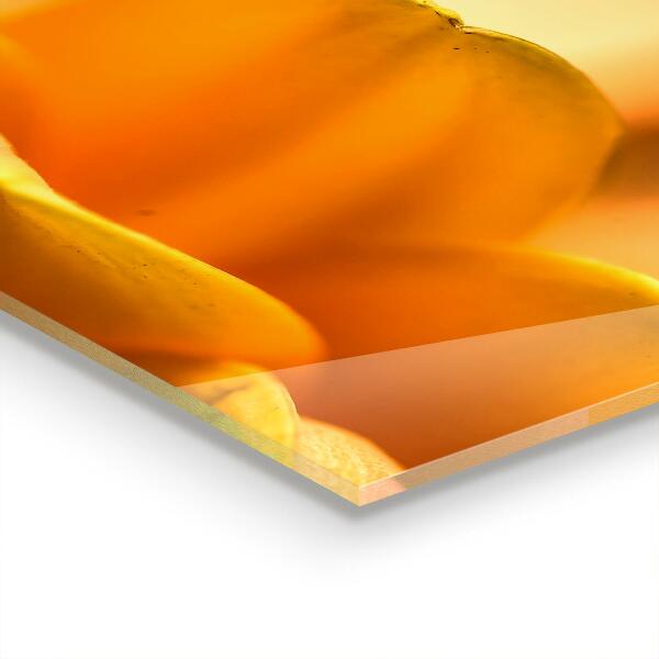 Painel cozinha Pólen de flores Natura