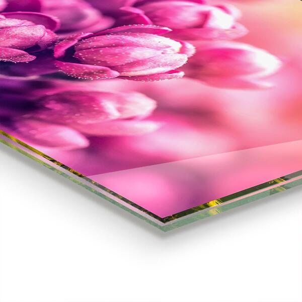 Backsplash cozinha Detalhes do musgo da floresta