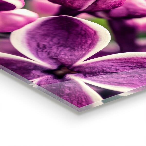 Painel para cozinha Flores roxas