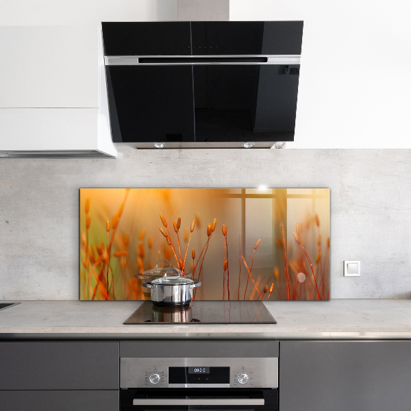 Painel para cozinha Dente-de-leão ao vento