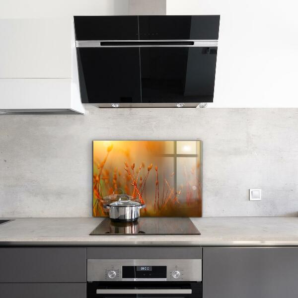 Painel para cozinha Dente-de-leão ao vento