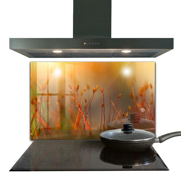 Painel para cozinha Dente-de-leão ao vento