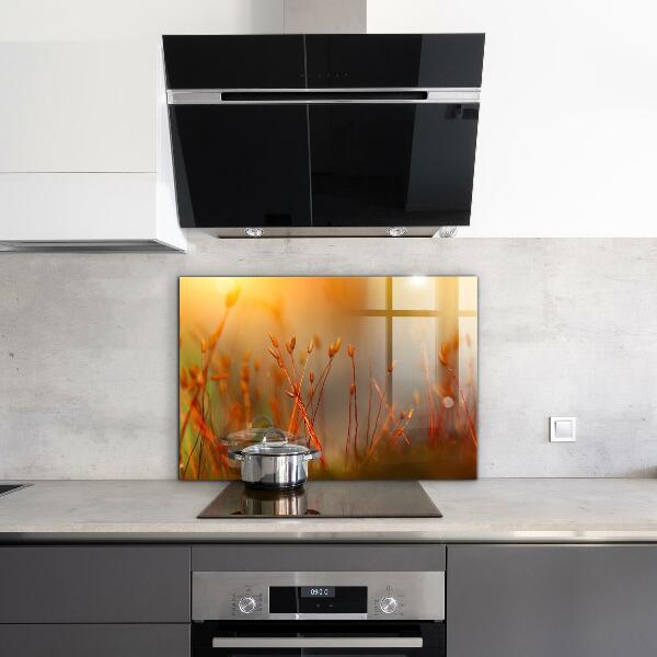 Painel para cozinha Dente-de-leão ao vento