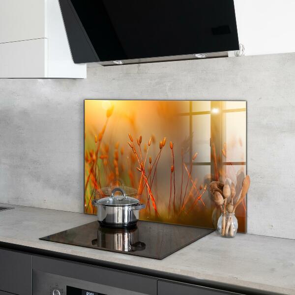 Painel para cozinha Dente-de-leão ao vento