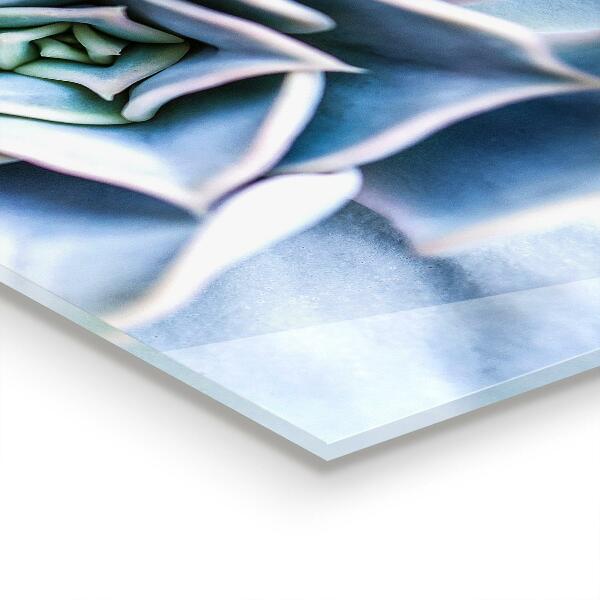 Painel para cozinha Gotas de orvalho em uma flor rosa