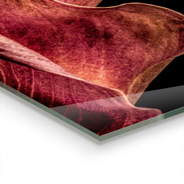 Painel para cozinha Flor colorida do arco-íris