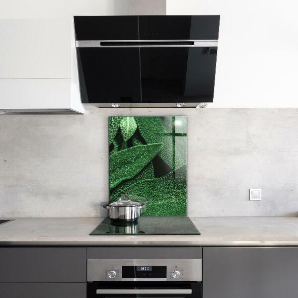 Backsplash cozinha Folhas de espinafre para a saúde