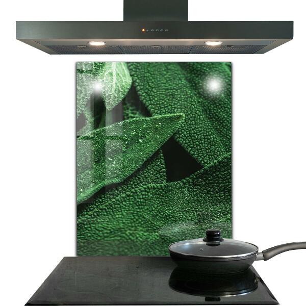 Backsplash cozinha Folhas de espinafre para a saúde