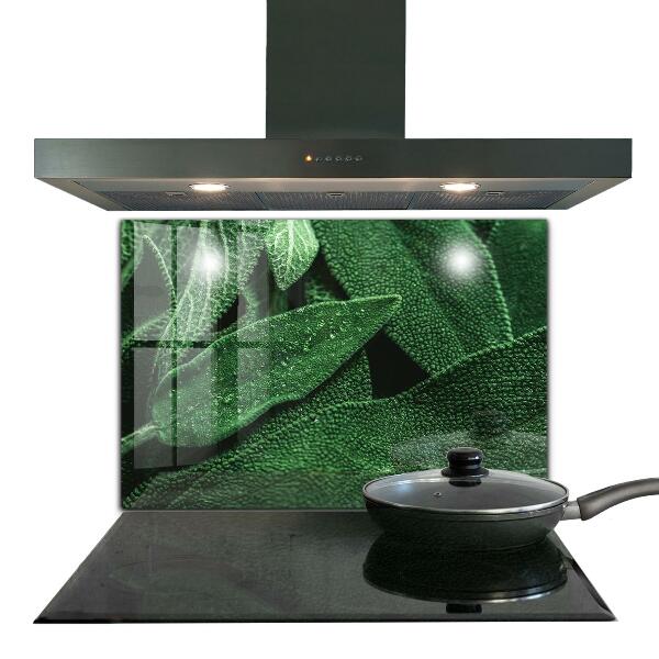 Backsplash cozinha Folhas de espinafre para a saúde