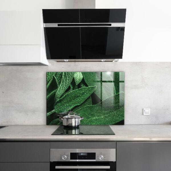 Backsplash cozinha Folhas de espinafre para a saúde