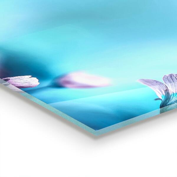 Painel para cozinha Suculentas coloridas