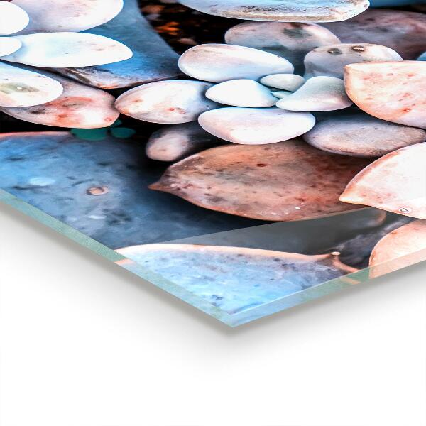 Backsplash cozinha Textura da folha