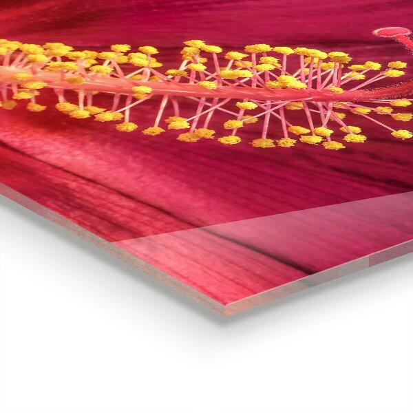 Painel para cozinha Folhas Verde-Escuras